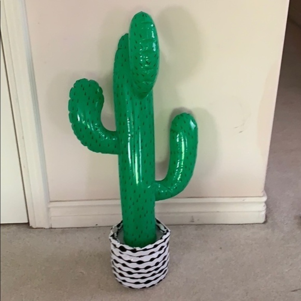 Large Blow up cactus green and white 33” inches long